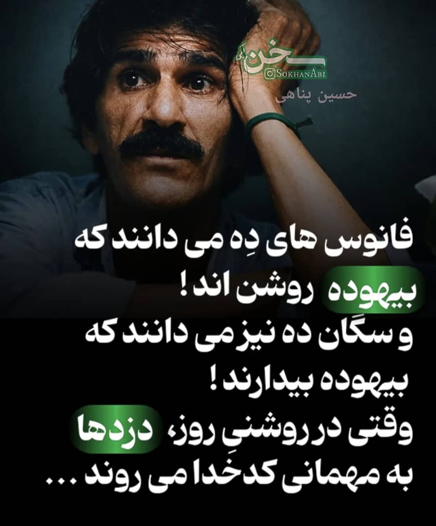 حسن پناهی دزدان
